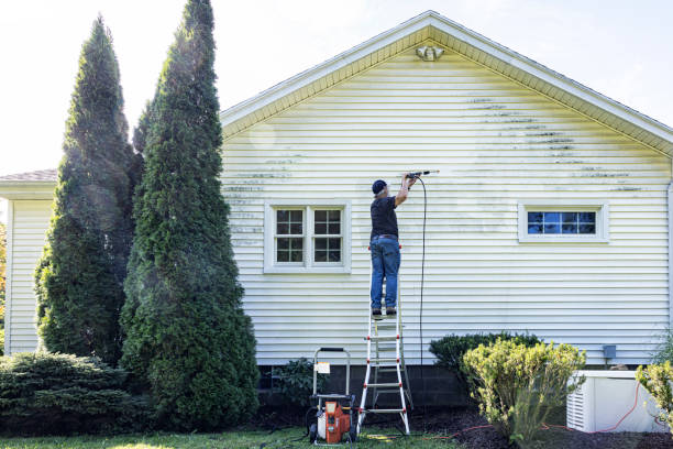 Best Power Washing Near Me  in Belcourt, ND